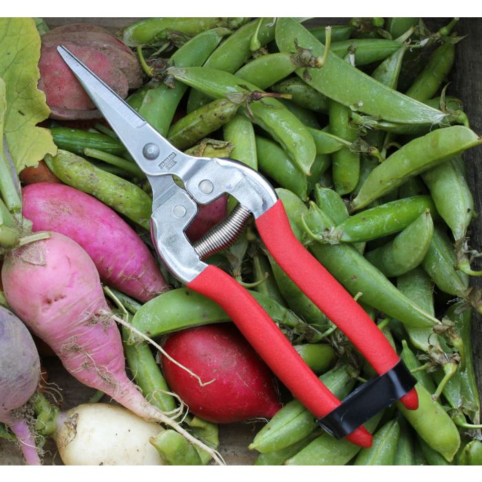 Womanswork Garden Shears - Thumbnail 4